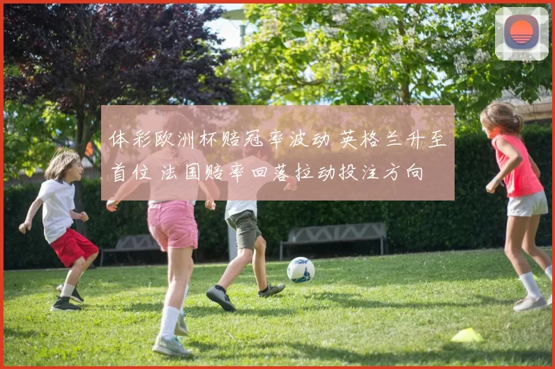 体彩欧洲杯赔冠率波动 英格兰升至首位 法国赔率回落拉动投注方向