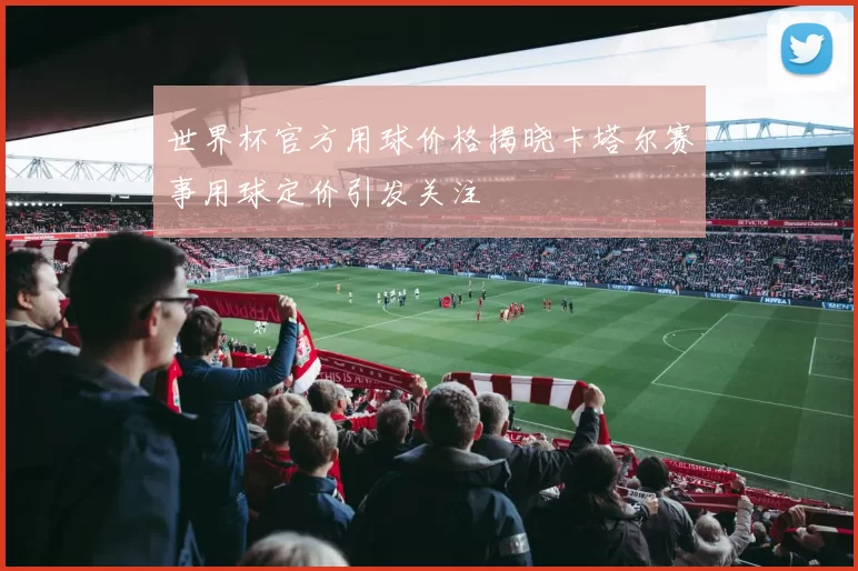 世界杯官方用球价格揭晓卡塔尔赛事用球定价引发关注