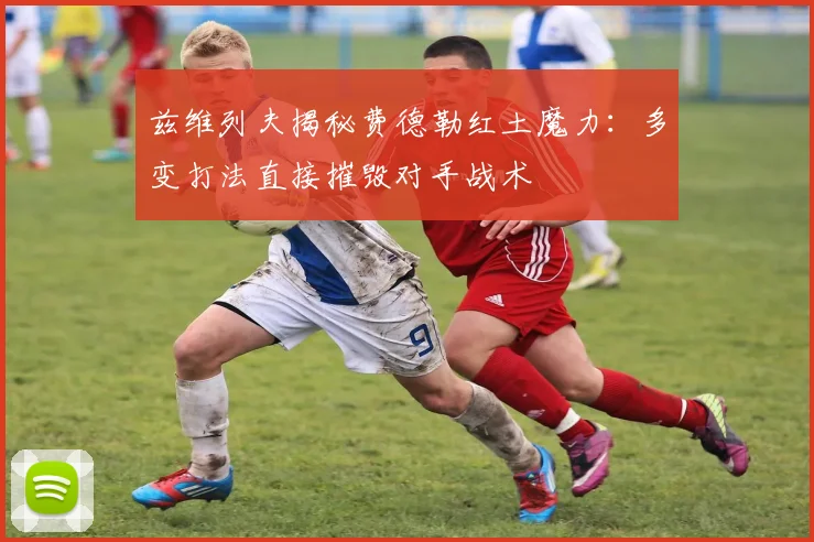 兹维列夫揭秘费德勒红土魔力：多变打法直接摧毁对手战术