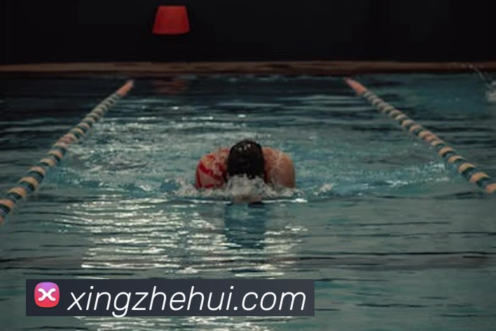 互动解说服务